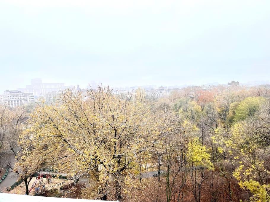 דירות בוקרשט Panoramic Lil' Paris מראה חיצוני תמונה